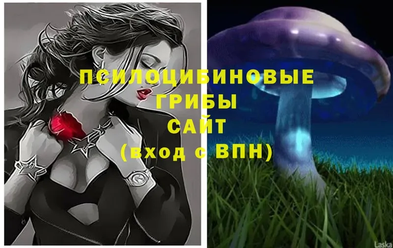 Галлюциногенные грибы Magic Shrooms  Инта 